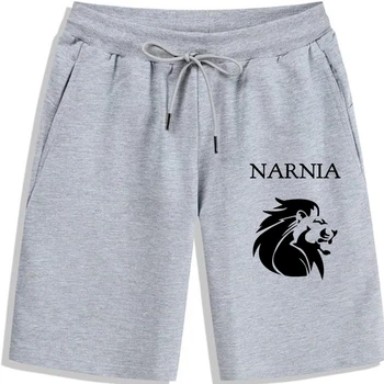 Western Avenue Boxinger Narnia - Мужские шорты Премиум-класса, Мужские шорты