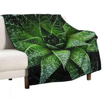 Новый суккулент. Плед Haworthia fasciata, походное одеяло, одеяло для дивана, идеи подарков на день Святого Валентина