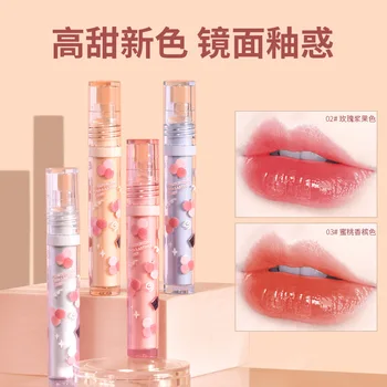 4 Цвета Зеркальный блеск для губ в корейском стиле Увлажняющий Телесный Блеск для губ Цветок Прозрачный Тюбик Жидкая помада длительного действия